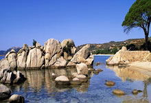 天涯十大神贴盘点，年度网帖天花板何在！（81字）